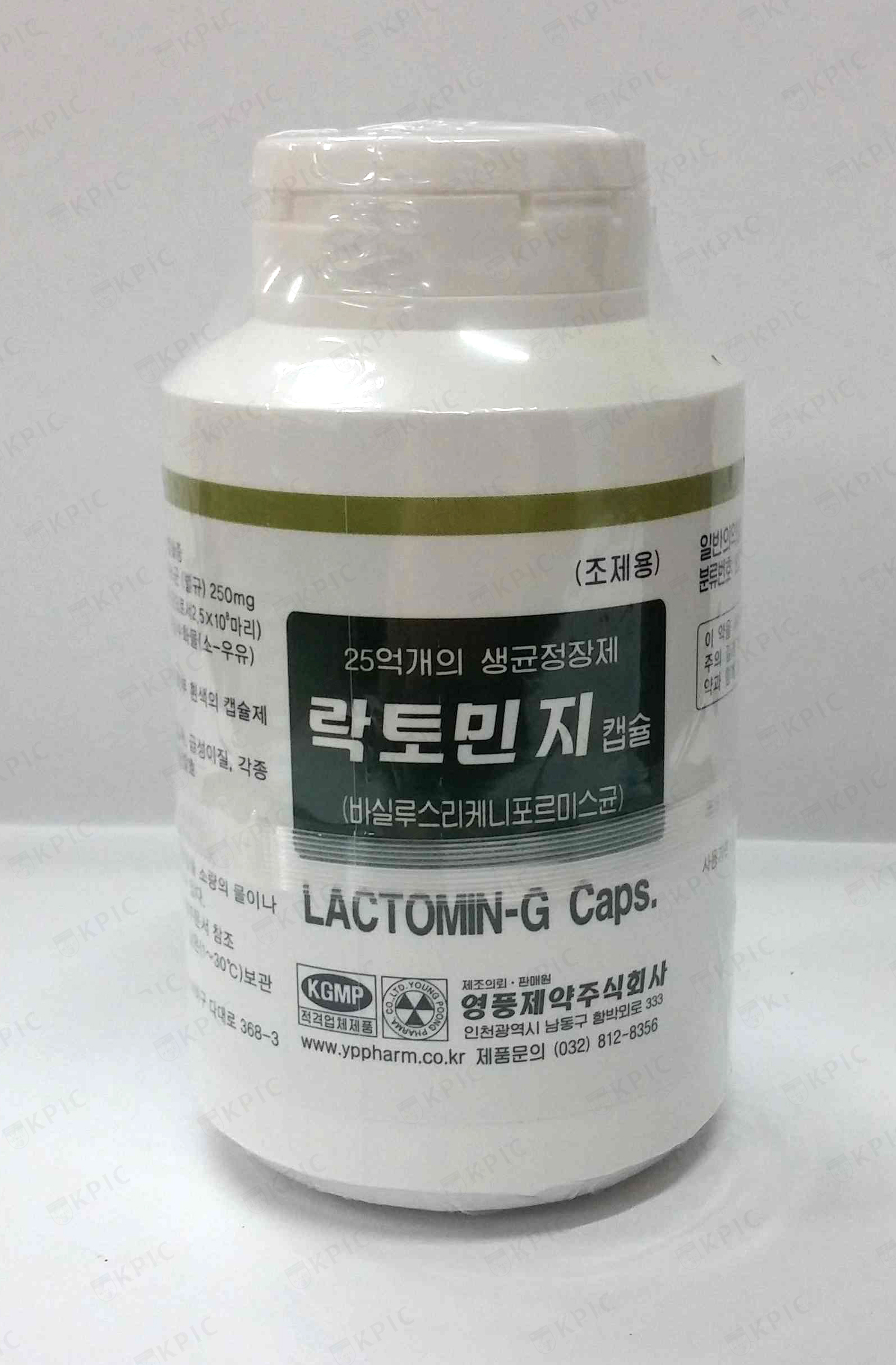 락토민지캡슐 Lactomin-G Cap. 의약품 정보