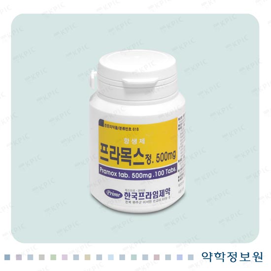 프라목스정500mg 포장재 이미지