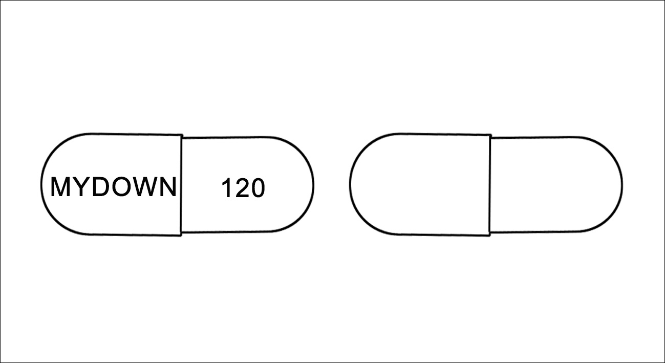 Highslide JS