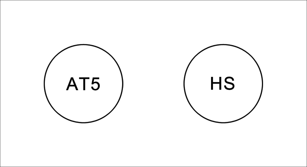 Highslide JS