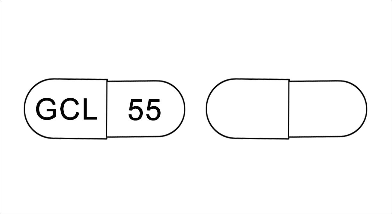 Highslide JS