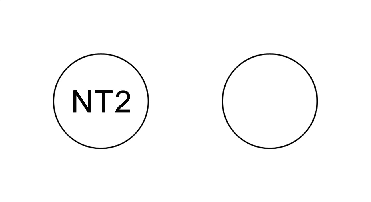 큰 이미지 보기